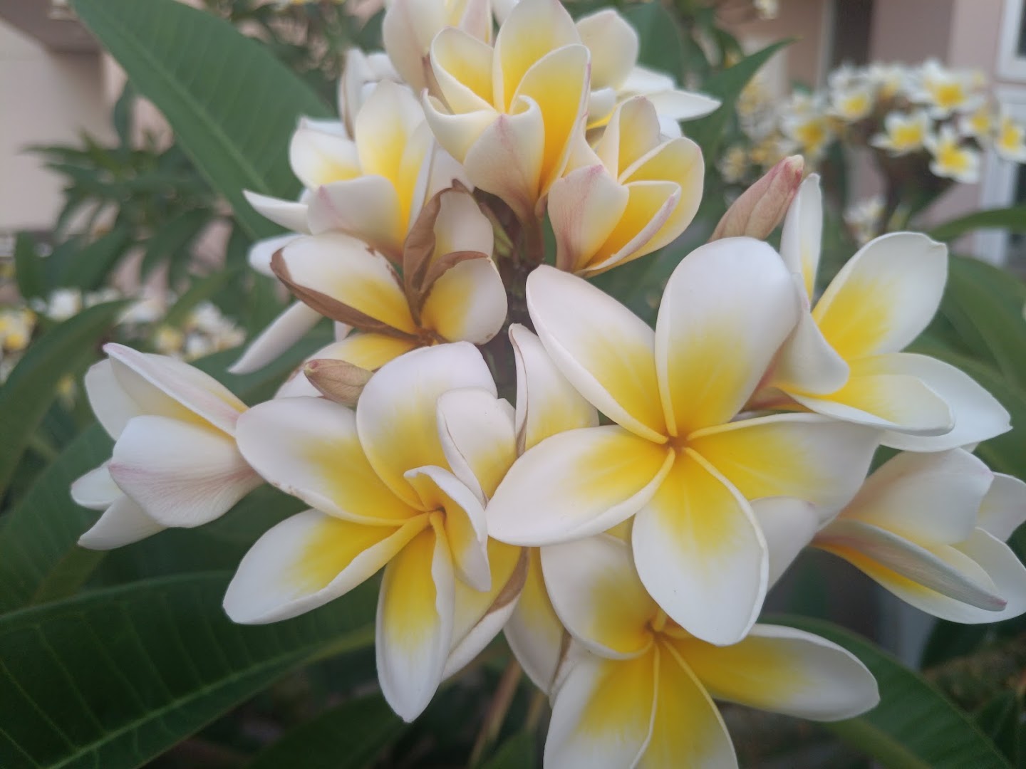 Valles Massage · Bilder 1